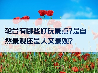 轮台有哪些好玩景点？是自然景观还是人文景观？