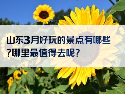 山东3月好玩的景点有哪些？哪里最值得去呢？