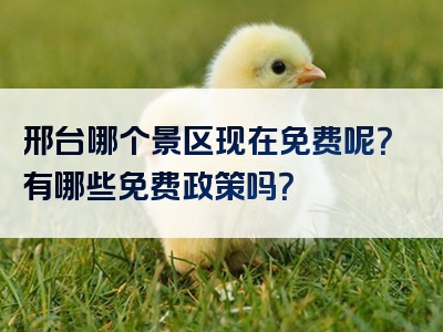邢台哪个景区现在免费呢？有哪些免费政策吗？