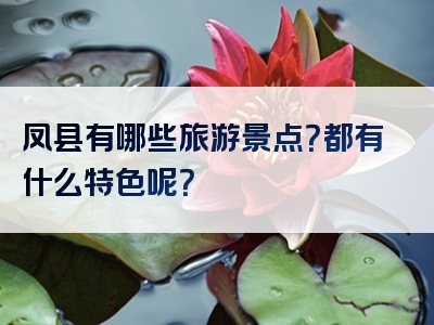 凤县有哪些旅游景点？都有什么特色呢？