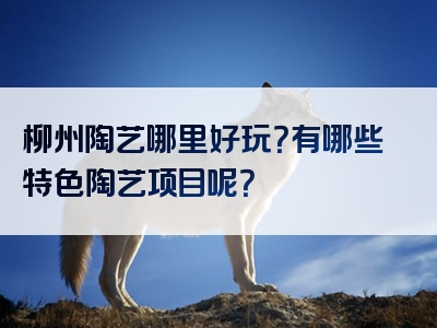 柳州陶艺哪里好玩？有哪些特色陶艺项目呢？