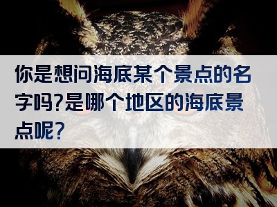 你是想问海底某个景点的名字吗？是哪个地区的海底景点呢？