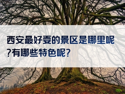 西安最好耍的景区是哪里呢？有哪些特色呢？