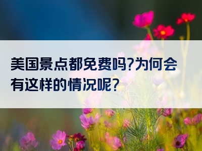美国景点都免费吗？为何会有这样的情况呢？