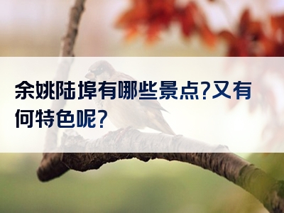 余姚陆埠有哪些景点？又有何特色呢？