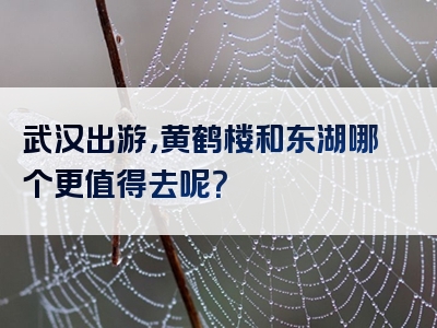武汉出游，黄鹤楼和东湖哪个更值得去呢？