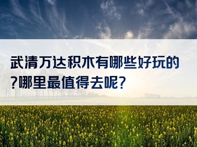 武清万达积木有哪些好玩的？哪里最值得去呢？