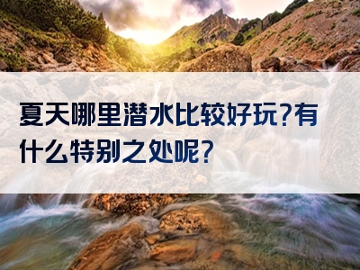 夏天哪里潜水比较好玩？有什么特别之处呢？