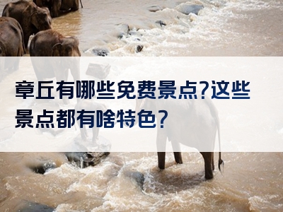 章丘有哪些免费景点？这些景点都有啥特色？