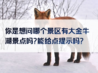 你是想问哪个景区有大金牛湖景点吗？能给点提示吗？
