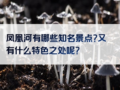 凤凰河有哪些知名景点？又有什么特色之处呢？