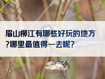 眉山柳江有哪些好玩的地方？哪里最值得一去呢？