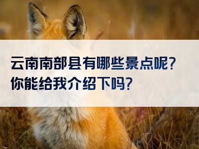 云南南部县有哪些景点呢？你能给我介绍下吗？