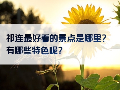 祁连最好看的景点是哪里？有哪些特色呢？