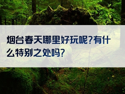 烟台春天哪里好玩呢？有什么特别之处吗？
