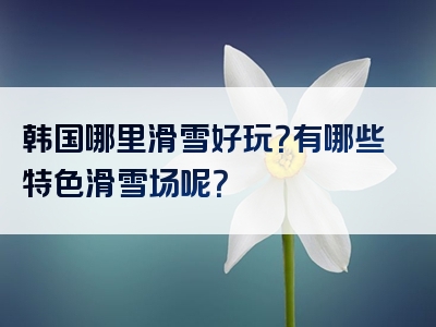 韩国哪里滑雪好玩？有哪些特色滑雪场呢？