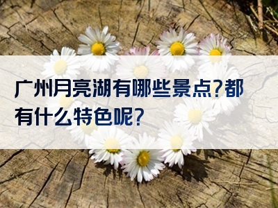 广州月亮湖有哪些景点？都有什么特色呢？