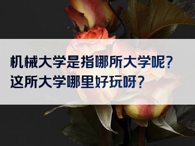 机械大学是指哪所大学呢？这所大学哪里好玩呀？
