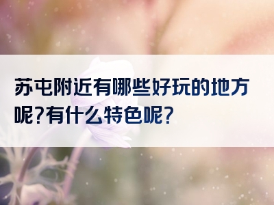 苏屯附近有哪些好玩的地方呢？有什么特色呢？