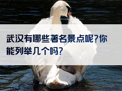 武汉有哪些著名景点呢？你能列举几个吗？