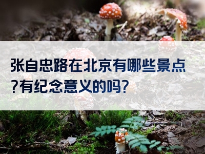 张自忠路在北京有哪些景点？有纪念意义的吗？