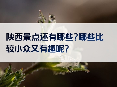 陕西景点还有哪些？哪些比较小众又有趣呢？