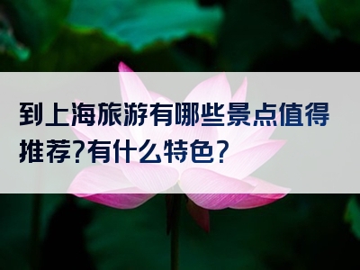 到上海旅游有哪些景点值得推荐？有什么特色？