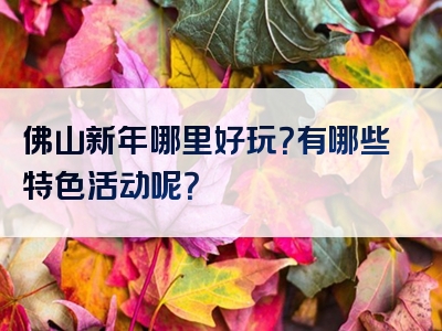 佛山新年哪里好玩？有哪些特色活动呢？