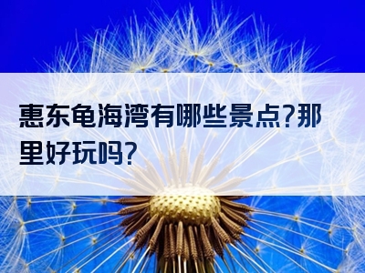 惠东龟海湾有哪些景点？那里好玩吗？