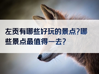 左贡有哪些好玩的景点？哪些景点最值得一去？