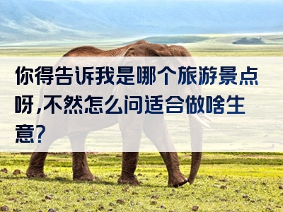 你得告诉我是哪个旅游景点呀，不然怎么问适合做啥生意？