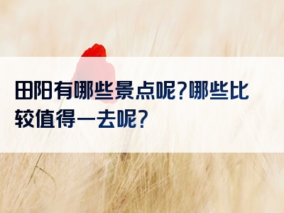 田阳有哪些景点呢？哪些比较值得一去呢？