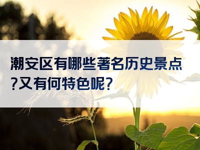 潮安区有哪些著名历史景点？又有何特色呢？