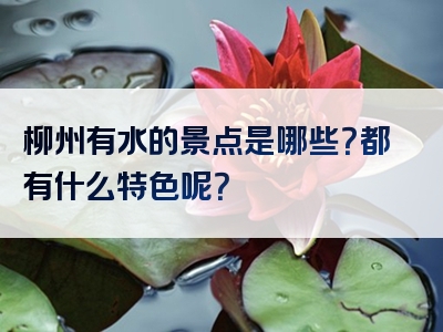 柳州有水的景点是哪些？都有什么特色呢？