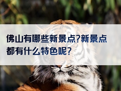 佛山有哪些新景点？新景点都有什么特色呢？