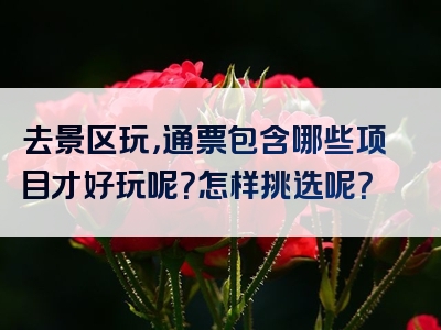 去景区玩，通票包含哪些项目才好玩呢？怎样挑选呢？