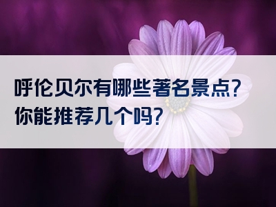 呼伦贝尔有哪些著名景点？你能推荐几个吗？