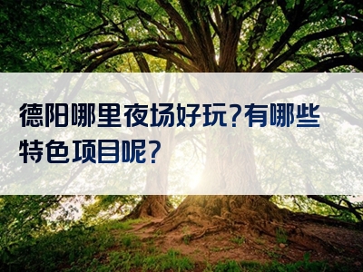 德阳哪里夜场好玩？有哪些特色项目呢？
