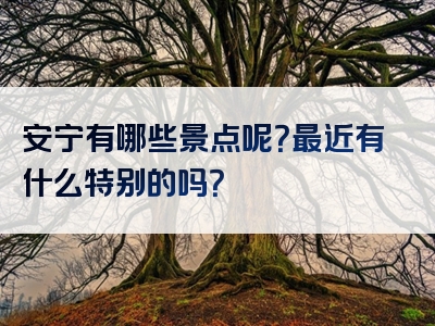 安宁有哪些景点呢？最近有什么特别的吗？