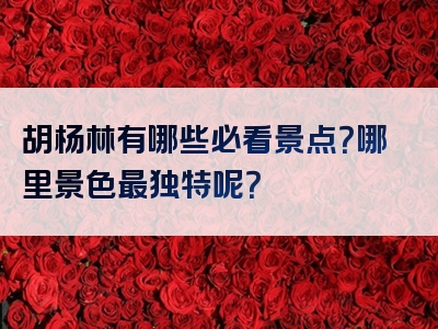 胡杨林有哪些必看景点？哪里景色最独特呢？