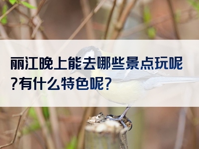 丽江晚上能去哪些景点玩呢？有什么特色呢？