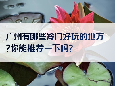 广州有哪些冷门好玩的地方？你能推荐一下吗？