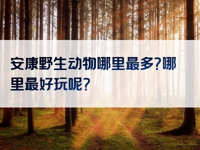 安康野生动物哪里最多？哪里最好玩呢？