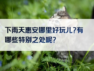 下雨天惠安哪里好玩儿？有哪些特别之处呢？