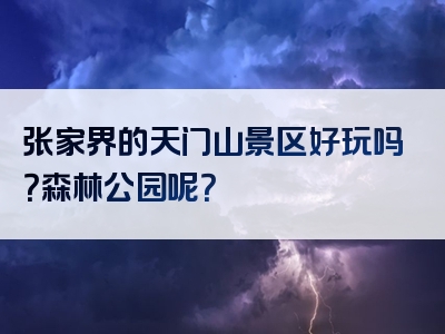 张家界的天门山景区好玩吗？森林公园呢？