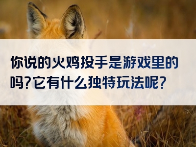 你说的火鸡投手是游戏里的吗？它有什么独特玩法呢？