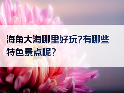 海角大海哪里好玩？有哪些特色景点呢？