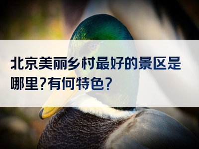北京美丽乡村最好的景区是哪里？有何特色？
