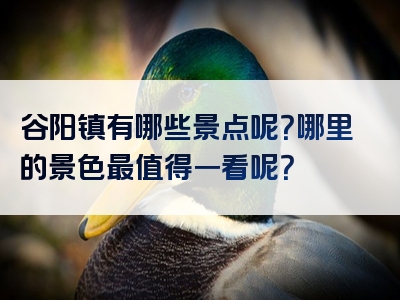 谷阳镇有哪些景点呢？哪里的景色最值得一看呢？
