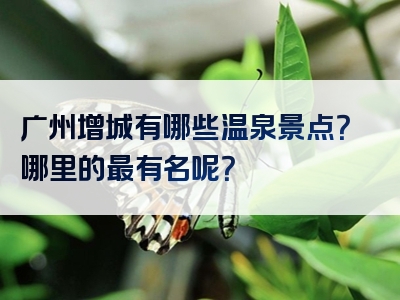 广州增城有哪些温泉景点？哪里的最有名呢？